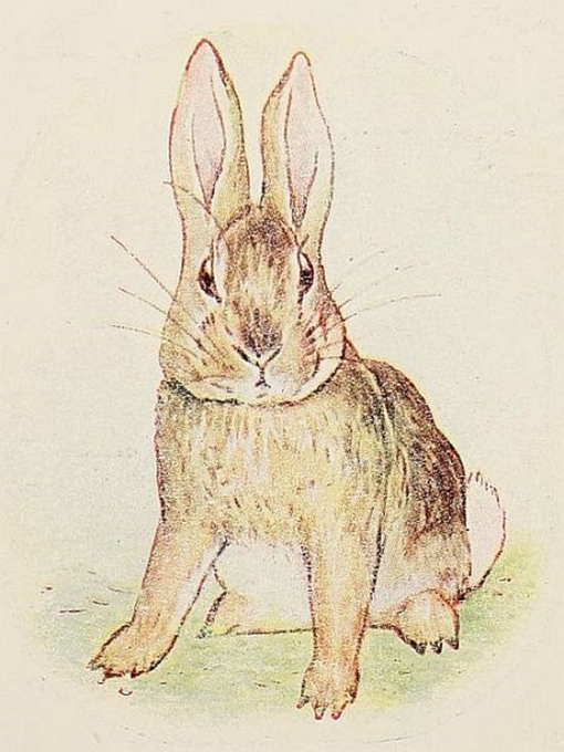 Title details for The Story of a Fierce Bad Rabbit by Beatrix Potter - Available